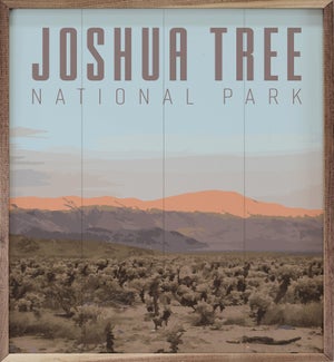 Joshua Tree National Park Mountains